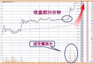 华体会体育官网：分析各大联赛的盘口规律