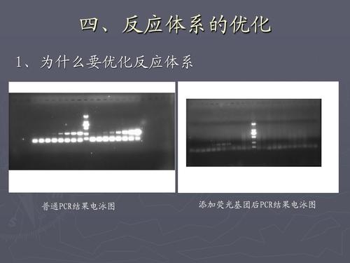 华体会体育解析跨国赛事的投注逻辑，如何通过技术数据优化下注？